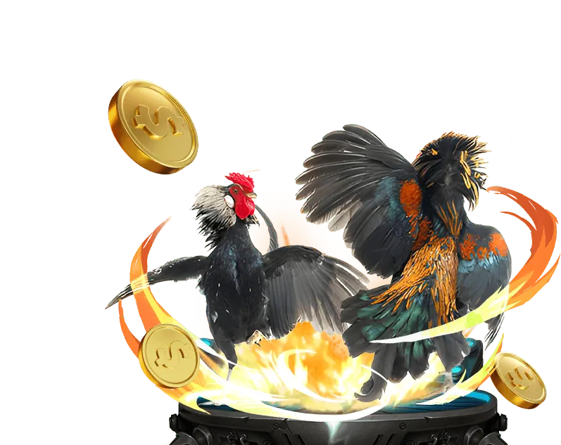 Tổng quan về thương hiệu tinchinhchu uy tín